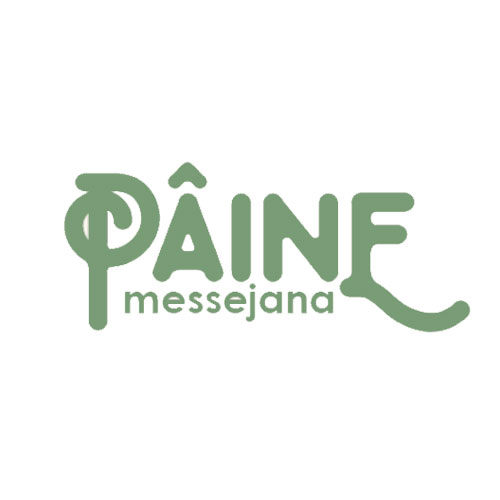 logo-paine-messejana-cliente-orgamco-agencia-marketing-digital-fortaleza